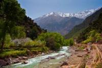Ourika Valley Tour from Marrakech