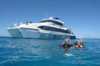 Outer Great Barrier Reef Dive and Snorkel Cruise from Cairns