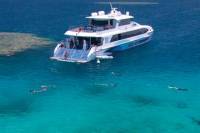 Outer Great Barrier Reef Dive and Snorkel Cruise from Palm Cove