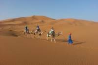 Overnight Small-Group Desert Tour from Fez with Camel Ride and Desert Camp