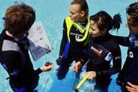 PADI Discover Scuba Diving in Freeport
