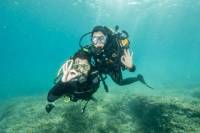 PADI Learn to Dive Course