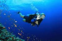 PADI Open Water Course in Gran Canaria