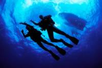 PADI Open Water Diver Certification in Cabo San Lucas