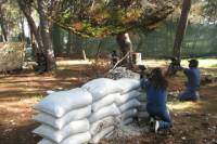 Paintball Experience from Split or Trogir