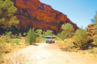 Palm Valley 4WD Tour from Alice Springs