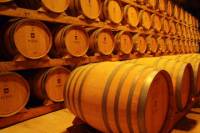 Palma de Mallorca Shore Excursion: Winery Visit and Wine Tasting Tour