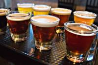 Panama Beer Experience