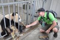 Panda Rescue Center Volunteer for a Day
