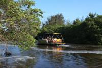 Pantanal Carioca Sightseeing Boat Tour in Rio de Janeiro