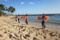 Paradise Cove Luau