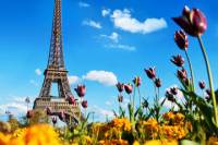 Paris Day Trip from London with Wine Tasting or Visit to Versailles