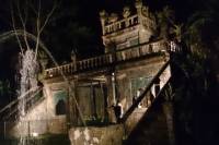 Paronella Park Mamu Skywalk Waterfalls Rainforest and Wildlife Day Night Tour