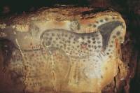 Pech Merle Cave and Saint Cirq Laponie Village Visit