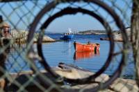 Peggy's Cove Photo Tour from Halifax