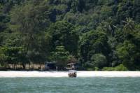 Penang National Park Half-Day Trek