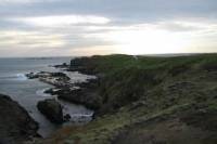 Phillip Island Ultimate Penguin Eco Tour or Skybox Experience