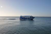 Phillip Island Wildlife Cruise with Optional Penguin Parade and 3 Park Pass