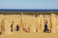 Pinnacles Day Trip from Perth Including Caversham Wildlife Park and Lancelin Dunes Sandboarding