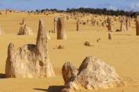 Pinnacles Desert, Koalas and Sandboarding 4WD Day Tour from Perth