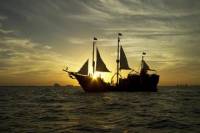 Pirate Night Show with Dinner in Cancun