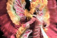 Plataforma Samba Show in Rio de Janeiro