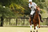 Polo Lessons from Buenos Aires