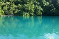 Port Antonio Full-Day Sightseeing Tour from Ocho Rios