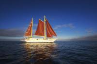 Port Phillip Bay Sailing and Yarra River Cruise by Traditional Timber Tall Ship from Melbourne