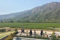 Premium Wineries: Casablanca, Colchagua or Maipo Valleys