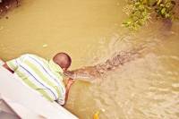 Private Appleton Estate Rum and Black River Safari Tour