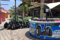 Private Aruba Segway Tour