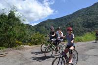 Private Bicycle Tour of Jamaica's Blue Mountains from Falmouth