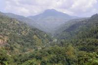 Private Blue Mountain Tour