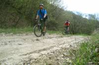 Private Cycling tour in Tbilisi National Park from Tbilisi
