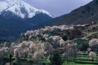 Private Day Trip: Atlas Mountains, Ourika Valley, Berber Village, Waterfall, Takerkoust Lake from Marrakech