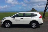 Private Departure Transfer: Oahu Hotel and Resort to Honolulu International Airport