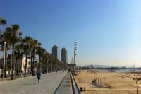 Private Electric Bike Tour from Montjuic Hill to Barceloneta in Barcelona