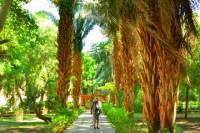 Private Felucca Tour: Aswan Botanic Gardens