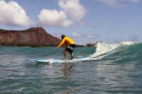 Private Group Surfing Lessons