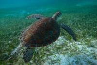 Private Guided Adventure Hike in St John USVI