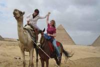 Private Guided Day Tour: Giza Pyramids, Egyptian Museum and Nile Dinner Cruise