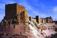 Private Half Day Kerak: Kings Highway Tour from Amman