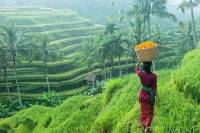 Private Half-Day Ubud Art and Culture Tour