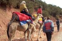 Private High Atlas Mountains Day Trip from Marrakech with Camel Ride