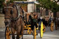 Private Horse and Carriage Tour of Seville