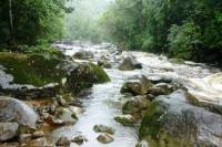 Private Itupava Trail Hiking Tour