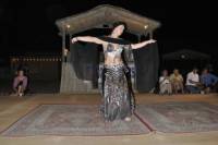 Private Overnight Safari: Sandboarding, Camel Ride, BBQ Dinner and Belly Dancing