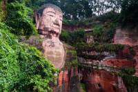 Private Panda and Leshan Giant Buddha Day Tour from Chengdu by Bullet Train