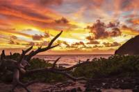Private Photography Tour on Oahu